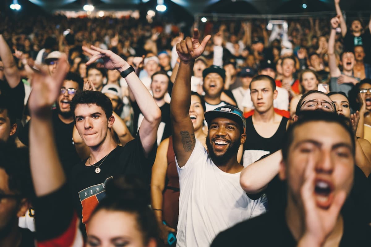 A festival crowd with arms raised at dusk